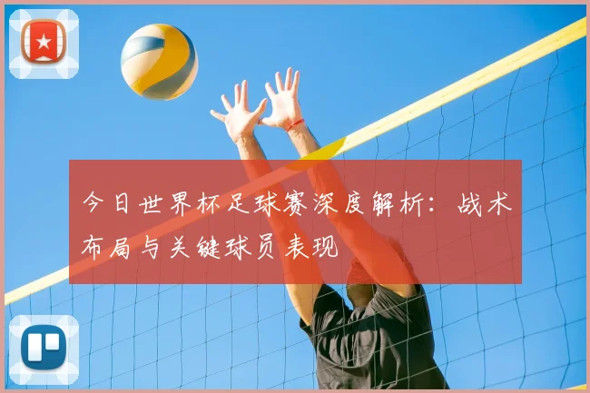 今日世界杯足球赛深度解析：战术布局与关键球员表现