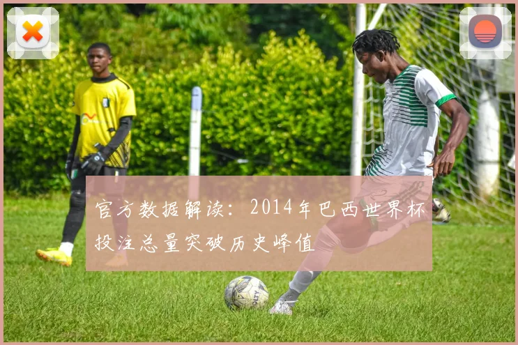 官方数据解读：2014年巴西世界杯投注总量突破历史峰值