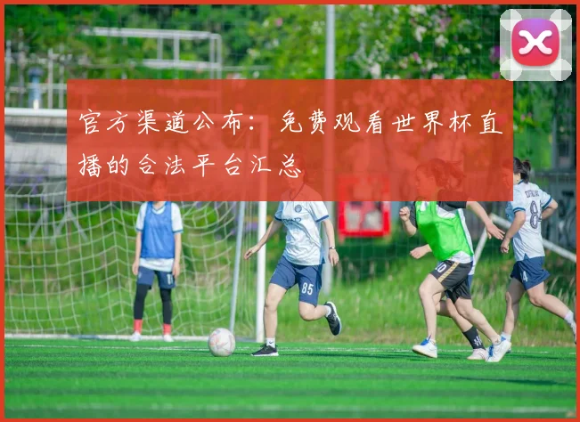 官方渠道公布：免费观看世界杯直播的合法平台汇总