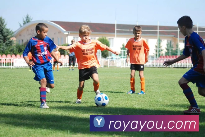 博亚体育app官网入口APP 封面图